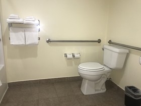 Microtel Inn & Suites by Wyndham Indianapolis Airport