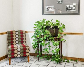 Comfort Inn Kokomo