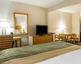 Comfort Inn Kokomo