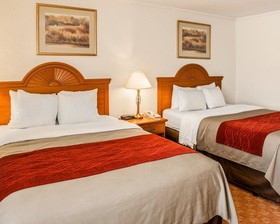 Comfort Inn Lafayette
