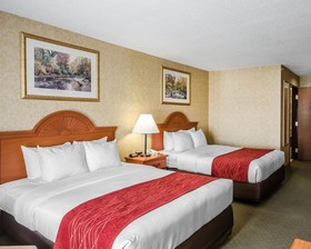 Quality Inn & Suites