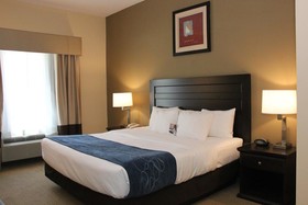 Comfort Suites South Bend