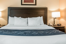 Comfort Suites South Bend