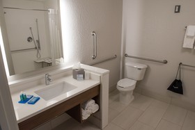 Holiday Inn Express & Suites Mishawaka - South Bend