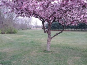 Brook Pointe Inn