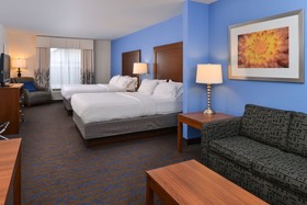 Holiday Inn Express Hotel & Suites Terra Haute