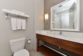 Holiday Inn Express Hotel & Suites Terra Haute