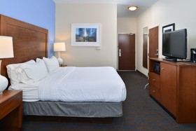 Holiday Inn Express Hotel & Suites Terra Haute