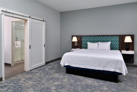 Hampton Inn Cedar Falls Downtown