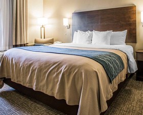 Comfort Inn & Suites Waterloo - Cedar Falls