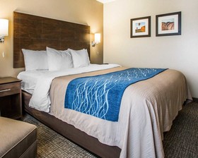 Comfort Inn & Suites Waterloo - Cedar Falls