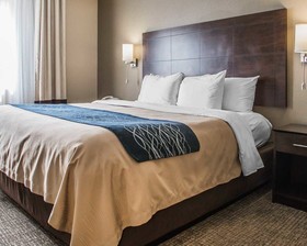 Comfort Inn & Suites Waterloo - Cedar Falls