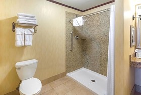 Comfort Suites