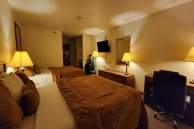 Single Tree Inn Hotel O