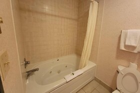 Single Tree Inn Hotel O