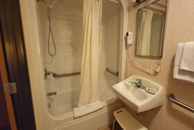Single Tree Inn Hotel O