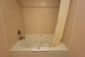 Single Tree Inn Hotel O