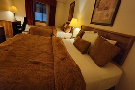 Single Tree Inn Hotel O