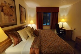 Single Tree Inn Hotel O