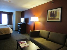 Comfort Suites Airport