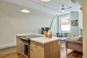 The Old Town Luxury Lofts