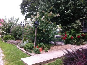 Springhill Winery and Plantation Bed and Breakfast