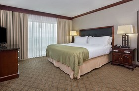 Holiday Inn University Plaza-Bowling Green