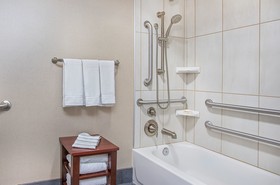 Holiday Inn University Plaza-Bowling Green