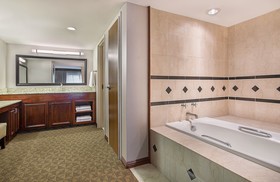 Holiday Inn University Plaza-Bowling Green