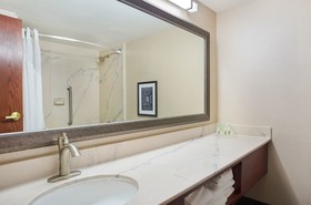 Holiday Inn University Plaza-Bowling Green