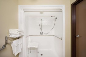 Microtel Inn & Suites by Wyndham Bowling Green
