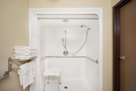 Microtel Inn & Suites by Wyndham Bowling Green