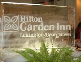 Hilton Garden Inn Lexington Georgetown