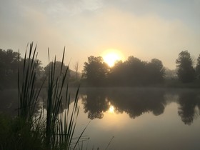 The B & B at Queenslake