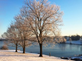 The B & B at Queenslake