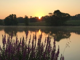 The B & B at Queenslake