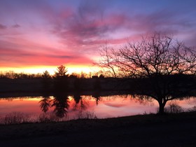 The B & B at Queenslake