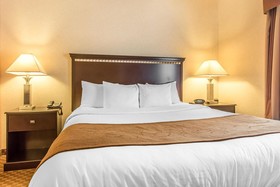 Comfort Suites Hopkinsville