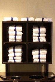 Hampton Inn Kuttawa/Eddyville