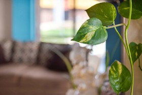 Baymont by Wyndham Louisville Airport South