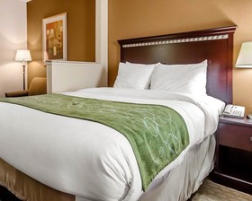 Comfort Suites East