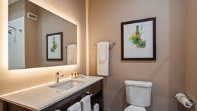 Holiday Inn Gonzales