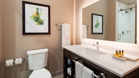 Holiday Inn Gonzales