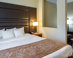 Comfort Suites