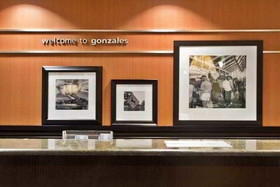Hampton Inn Gonzales