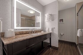 Hampton Inn & Suites Harvey