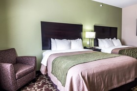 Spark by Hilton Mansfield