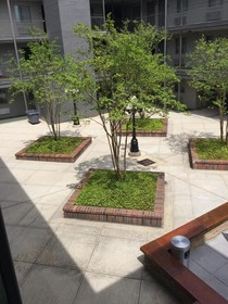 Country Inn & Suites by Radisson, Metairie New Orleans, LA
