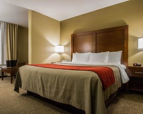 Best Western Morgan City Inn