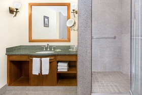 Wyndham Garden Baronne Plaza New Orleans